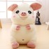 Pig Stuffed Animal, 16 Inch Stuffed Pig Hand Warmer, Soft and Cute Pig Stuffed Animal